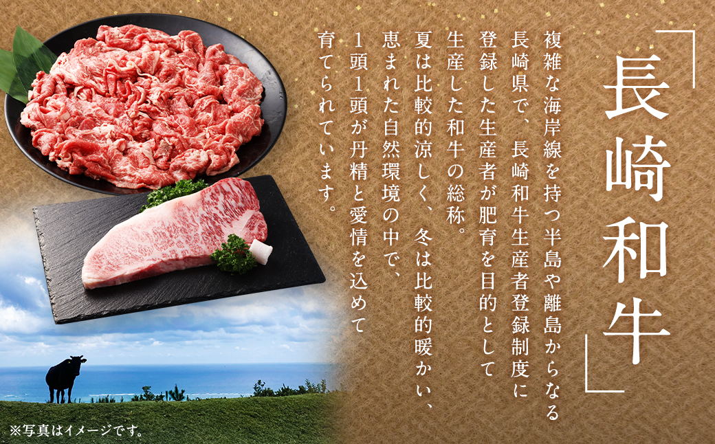 【全3回定期便】長崎和牛 切り落とし 約400g ( カタ、モモ、バラ、ロース、スネのいずれか ) ／ 和牛 国産 肉 お肉 焼肉 和牛 切落し きりおとし 牛脂付 部位お任せ 長崎県 長崎市