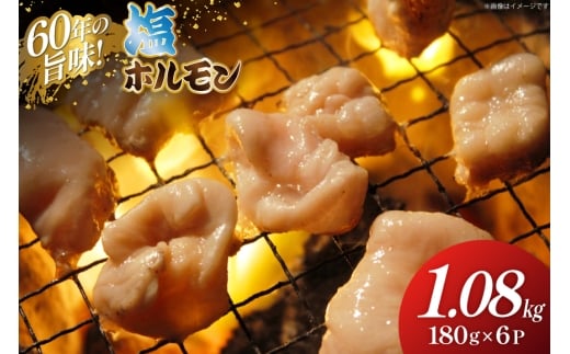 塩 ホルモン 計1.08kg(180g×6p) [木村精肉店 北海道 歌志内市 01227al004] 小分け 冷凍 焼き肉 焼肉 豚