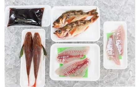 プロが選んだ！旬の鮮魚詰め合わせセット（刺身用２種と塩焼・煮付用下処理済各２匹づつ）日本海・能生漁港直送！