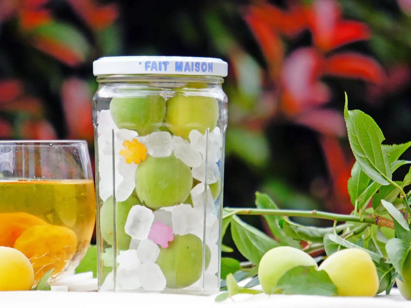 
            【ふるさと納税】お家でうめしごと。☆梅シロップkit☆ 秋 旬
          