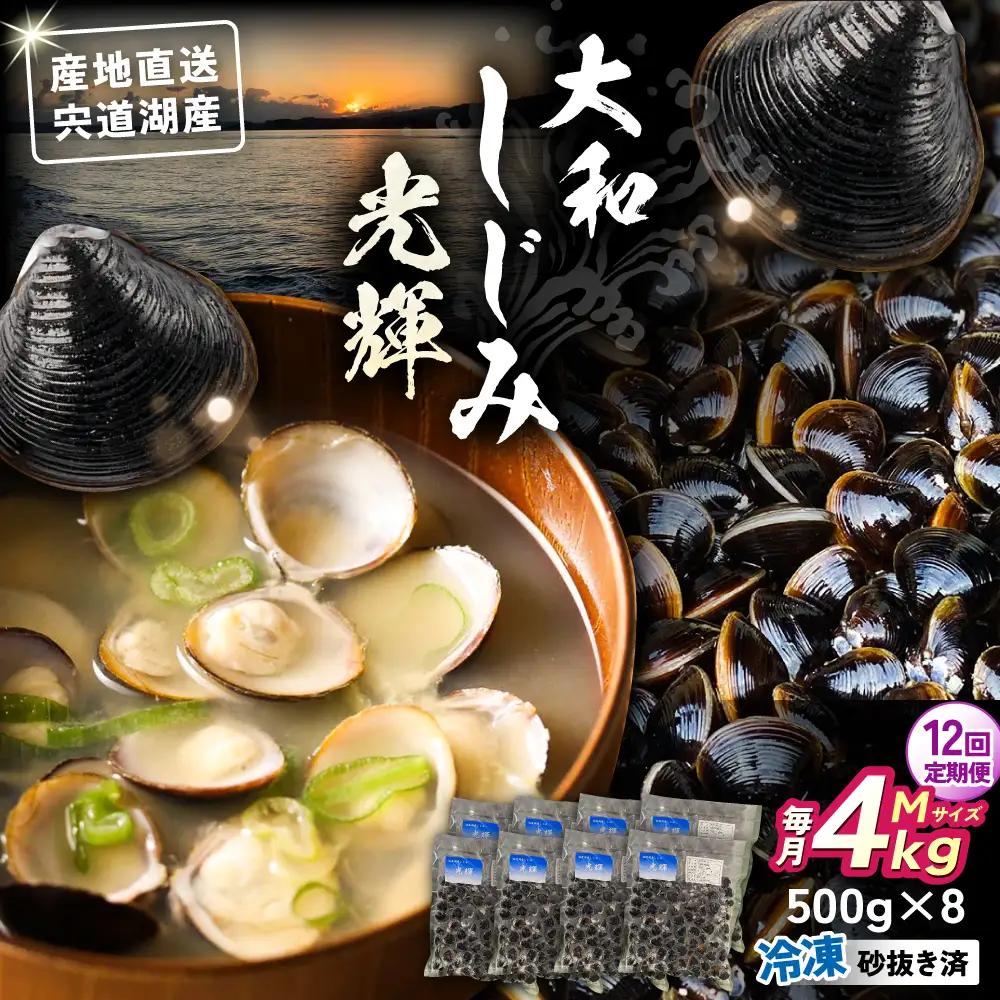 【全12回定期便】産地直送！宍道湖産 冷凍大和しじみMサイズ4kg(500g×8) 砂抜き処理済 島根県松江市/りすたむMatsue[ALDE015]