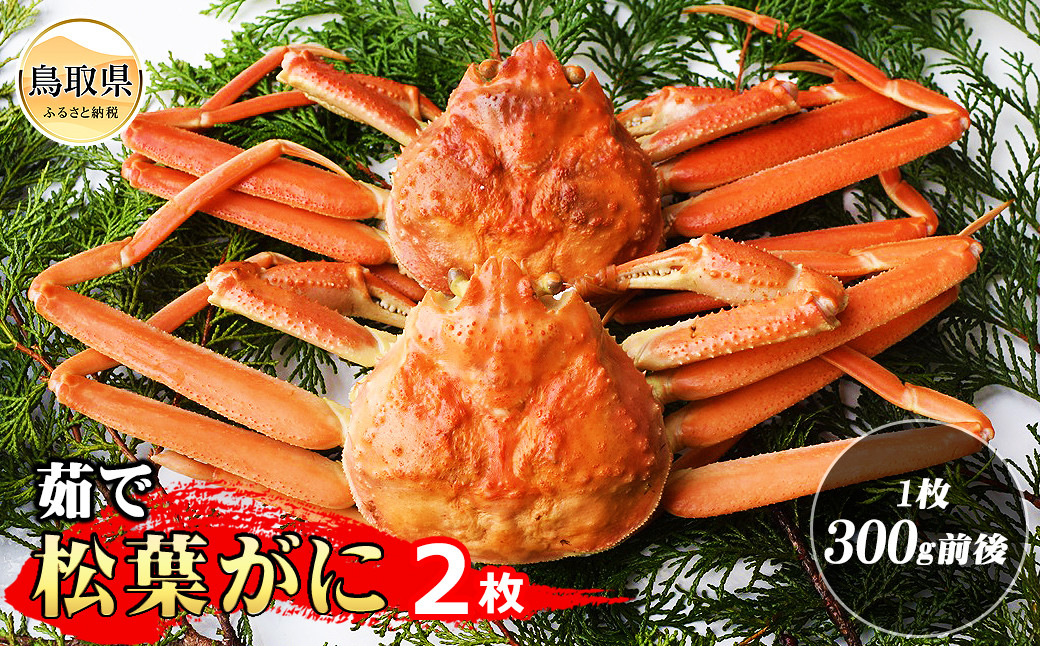 
                  茹で松葉ガニ 2枚（1枚300g前後）【期間限定】_T2600089
                