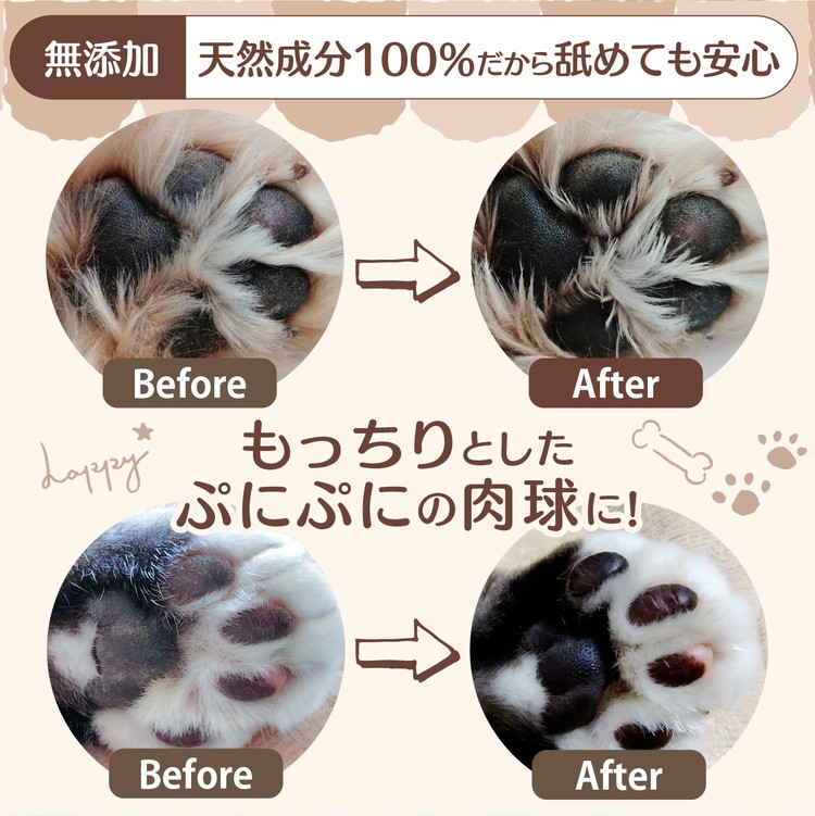 ネコの肉球ケアクリーム 30g【5個セット】 ｜ キャット ペット ケア用品 メンテナンスグッズ お手入れ 飼育 クロモジ 米油 シアバター 安心 蜂蜜成分 潤い 栄養 角質保護 殺菌作用 プレゼント