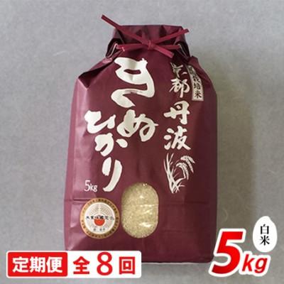 ふるさと納税 南丹市 【毎月定期便】京都丹波産 キヌヒカリ 5kg 精米全8回