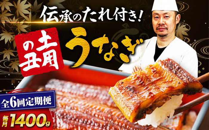 【全6回定期便】 うなぎ 蒲焼き 冷蔵 真空パック 10尾セット（2尾×5箱）　愛媛県大洲市/有限会社 樽井旅館 鰻 うなぎ ひつまぶし 土用の丑の日 ウナギ [AGAH026]