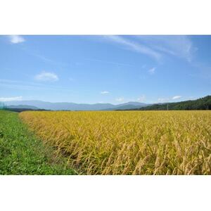 【毎月定期便】長野県産特別栽培米 コシヒカリ 10kg全3回【4082363】