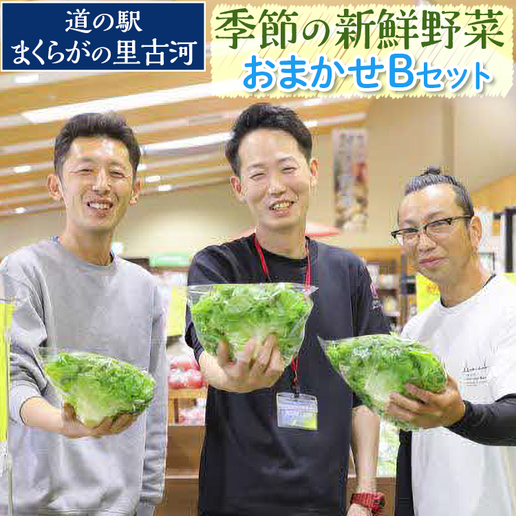 道の駅まくらがの里古河　季節の新鮮野菜おまかせBセット ※北海道・沖縄・離島への配送不可 | 野菜 詰合せ 詰め合わせ セット アソート 新鮮 道の駅 人気 ギフト 贈答 贈り物 プレゼント お中元 お歳暮 茨城県 古河市 直送 農家直送 産地直送 _BQ04