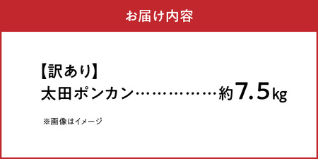 S040-012A_訳あり 農家の手摘み 太田 ポンカン10kg〈先行受付〉