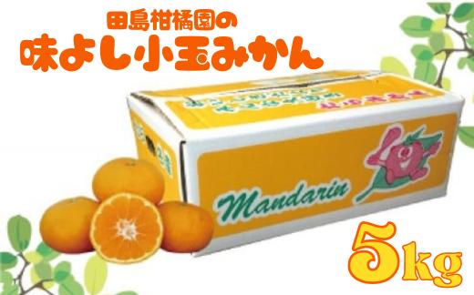 
                  田島柑橘園の味よし小玉みかん5kg
                