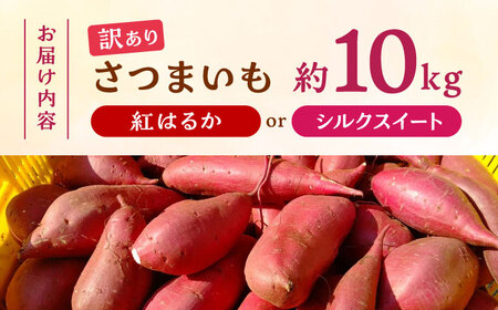 先行予約 紅はるかorシルクスイート蜜芋10kg サツマイモさつまいも国産 ZCN001