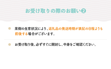 もも 白桃＆有袋黄桃 秀品 品種おまかせ 約3kg 化粧箱入りフルーツ 果物 2024年産 山形県産 ns-mohot3
