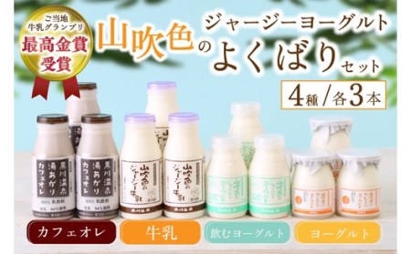 山吹色のジャージーヨーグルト よくばりセット 4種 ジャージー牛乳 飲むヨーグルト 牛乳 カフェオレ ヨーグルト プレーンヨーグルト 詰め合わせ アソート セット 乳製品 飲料 健康 腸活 免疫力アップ 乳酸菌 ご当地牛乳グランプリ 最高金賞 ご当地 ギフト 贈答用 山のいぶき 熊本 阿蘇 南小国町 送料無料 [B2-1114]
