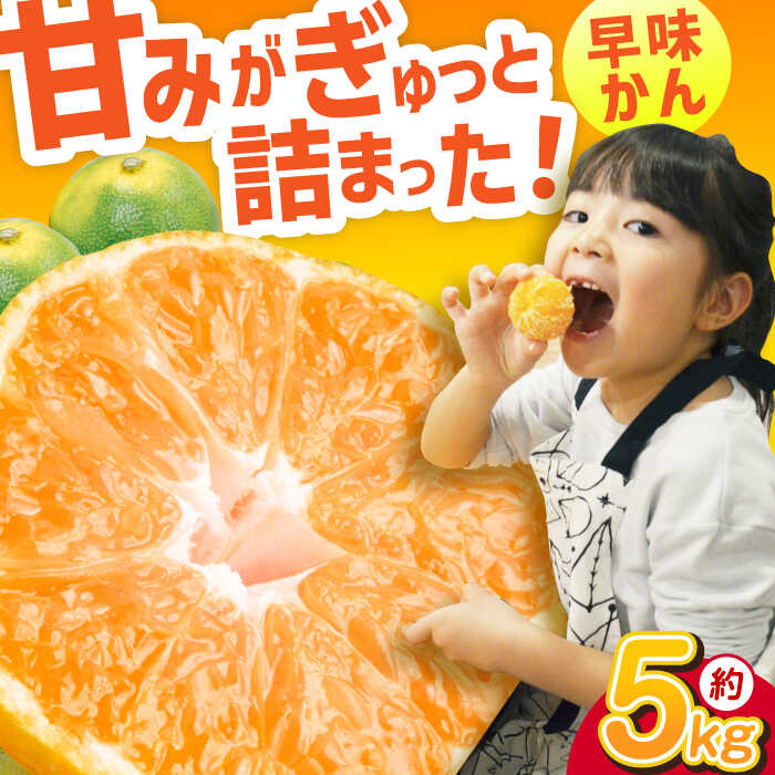 【ふるさと納税】【★先行予約★　2025年9月下旬より発送】早味かん 約5kg 広川町 / JAふくおか八女農産物直売所どろや[AFAB075]