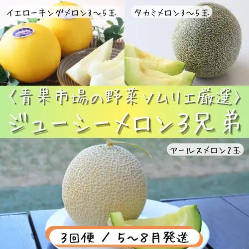 青果市場の野菜ソムリエ厳選 ジューシー メロン 3兄弟 定期便 全3回