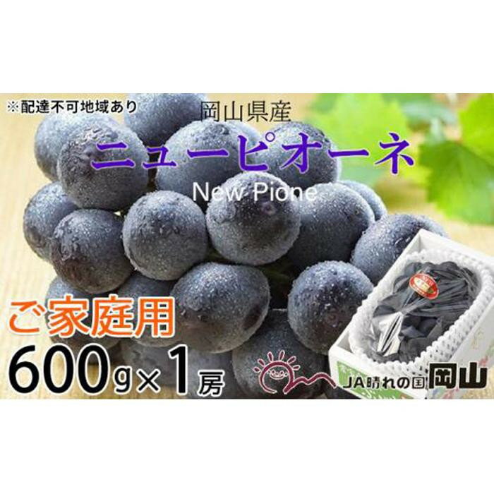 【ふるさと納税】【内容量が選べる】ぶどう 2026年 ご家庭用 ニュー ピオーネ 約600g×1房～3～6房 約2kg | フルーツ 果物 くだもの 食品 人気 おすすめ 送料無料