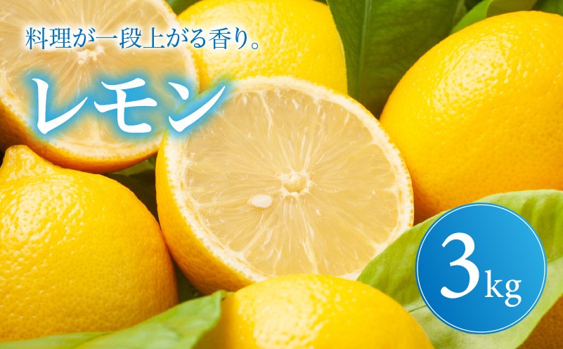 
                  イエロー レモン 家庭用 3kg 【2027年1月中旬頃から順次発送】 | れもん レモン lemon 檸檬 訳あり フルーツ 柑橘 果物 おすすめ お勧め お取り寄せ ギフト 愛媛県 松山市
                