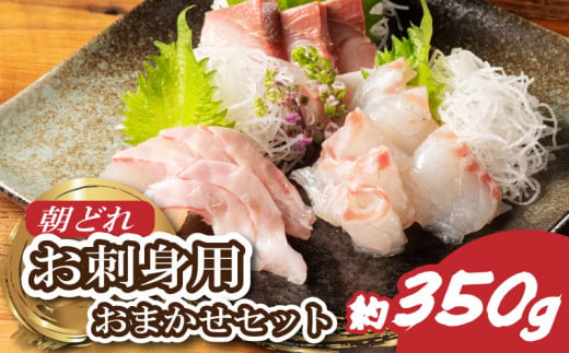 お刺身 おまかせ 2～3種 約350g 盛り合わせ 刺身 刺し身 国産 鯛 ブリ マグロ ヒラマサ カンパチ シマアジ ヒラメ 新鮮 魚 魚介 海鮮 海鮮丼 三重県 南伊勢町 伊勢 志摩 城水産 9000円 9千円 10000円以下 一万円以下