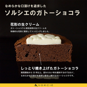 ガトーショコラ【日時指定可】ガトーショコラクラシック4号 【IT006_x】