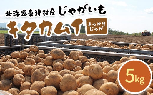 
            甘くてホクホク！太陽の光をたっぷりと浴びた　北海道真狩村産じゃがいも　キタカムイ「まっかりじゃが」5kg【2025年産】【0116701】
          