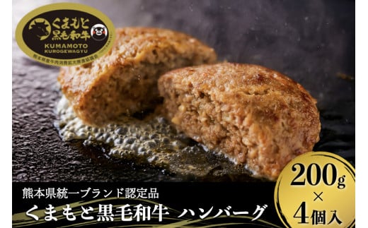 
【くまもと黒毛和牛】お肉専門店が作った黒毛和牛おおきなハンバーグ4個
