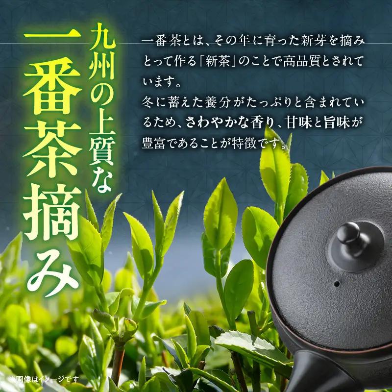 一番茶摘み緑茶ハレーすいせい1号(上煎茶)250g　2本セット_B079-011
