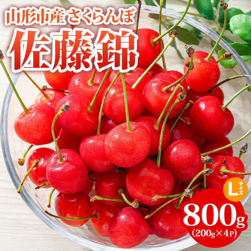 【ふるさと納税】山形市産 さくらんぼ【佐藤錦】Lサイズ 800g(200g×4P) 【令和8年産先行予約】FS24-754 くだもの 果物 フルーツ 山形 山形県 山形市 お取り寄せ 2026年産