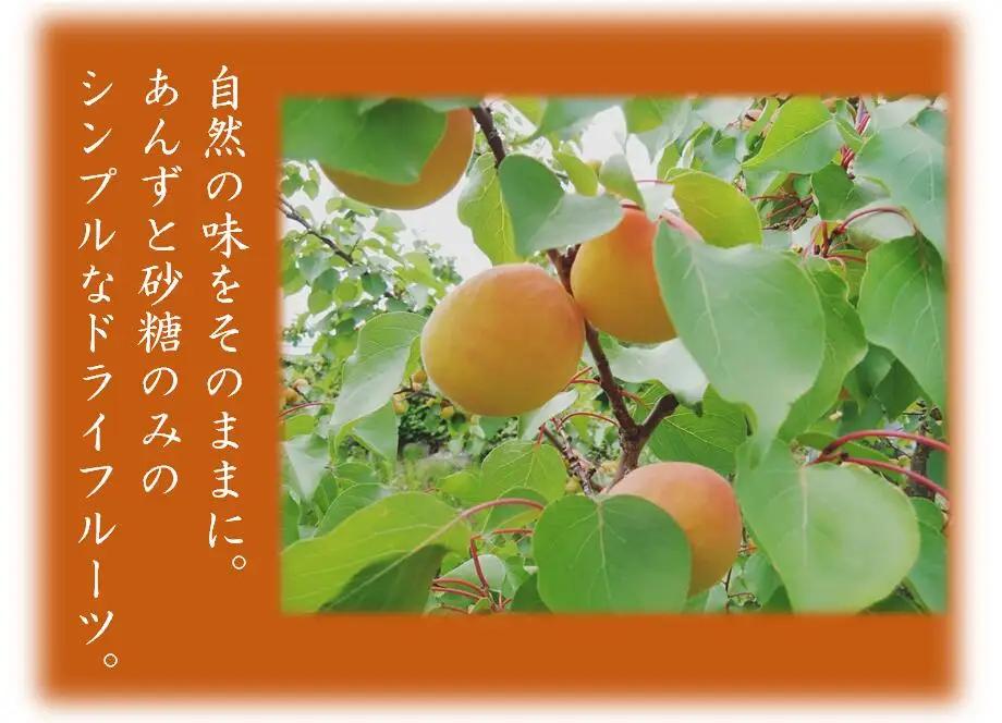 あんず 千曲の干し杏   120g （6袋） |  あんず
