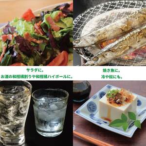 内谷農園 低温貯蔵すだち 家庭用 1kg