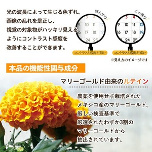 No.1291 ＜機能性表示食品＞ルテイン(1袋 62粒入り)  鹿児島 日置市 健康食品 加工食品 サプリ サプリメント 栄養バランス 食生活 安心安全 目 ブルーライト 保護 頒布会 配送回数  