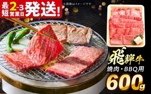 飛騨牛 焼肉 BBQ用 600ｇ 多治見市 / 養老ミート 冷凍 ロース 肩ロース 和牛 ギフト [THG016]