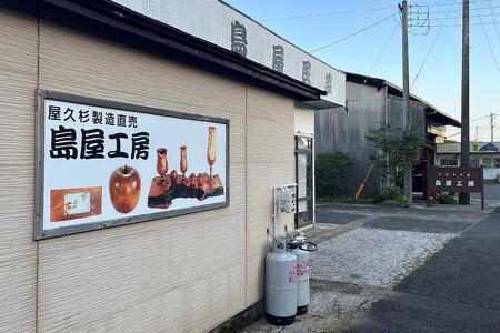 屋久杉 回転式ボールペン（2）（ペン皿付き）＜島屋工房＞