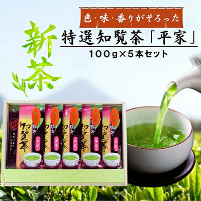 【ふるさと納税】2026年産新茶平家計500g【1719208】