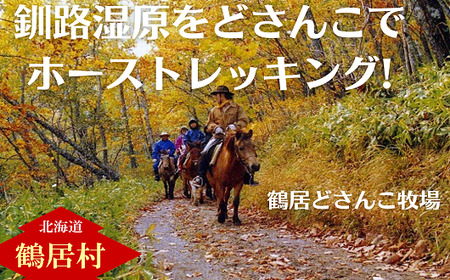 鶴居村 鶴居どさんこ牧場ホーストレッキング　1日コース昼食付(1名様)（トレッキング 馬 ウマ うま どさんこ 釧路の隣 釧路空港 から近い 北海道 観光 トラベル ホテル 旅行 宿泊 アクティビティ ふるさと納税 ふるなび  ）