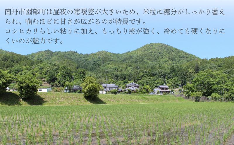 【先行予約】無洗米令和8年産 コシヒカリ 5kg 【 お米 米 コメ 精米 南丹市 】