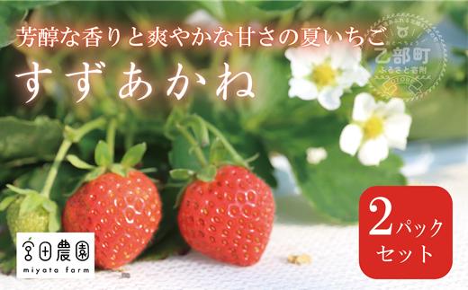 ＜すずあかね 2パックセット＞ 北海道 道産 夏いちご すずあかね