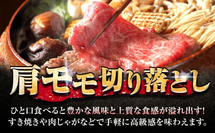 スピード発送 佐賀牛 肩・モモ切り落とし 1kg(500g×2) 牛肉 肉 黒毛和牛 和牛 佐賀 牛 すき焼き しゃぶしゃぶ