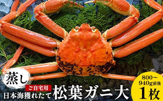 【ポイント交換専用】116.【先行予約】【蒸し】訳あり ご自宅用 日本海獲れたて松葉ガニ 大　800～940g前後　１枚◇ ≪かに カニ 蟹 ズワイガニ≫　※2025年11月上旬～2026年3月上旬頃に順次発送予定 313726_AN110-P