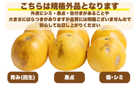 先行予約 訳あり 愛南ゴールド 5kg 愛南フルーツ 柑橘 愛南ゴールド 愛媛 みかん 国産 果物 愛南ゴールド 傷あり 旬 お届け ブランド オレンジ 愛南ゴールド 減農薬 有機 ビタミン 愛南ゴー