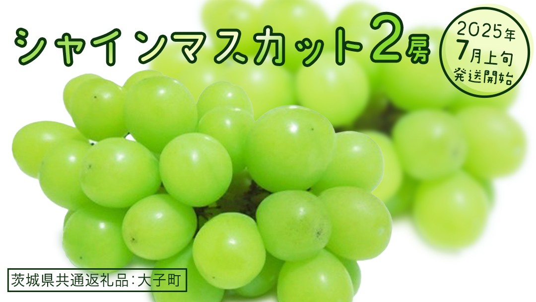 
            シャインマスカット ２房【2025年7月上旬発送開始】(茨城県共通返礼品：大子町)  ぶどう 葡萄 ブドウ マスカット フルーツ 果物 スイーツ
          