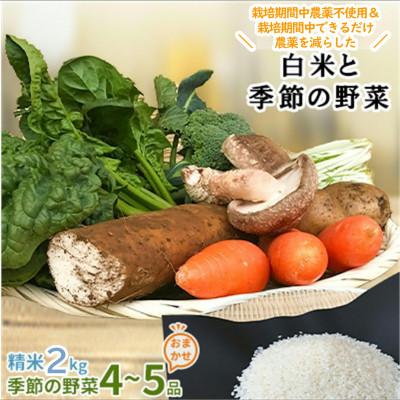ふるさと納税 行方市 【身体が喜ぶ野菜】白米2kgと季節の野菜(おまかせ4〜5品)