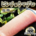 【ふるさと納税】ビンチョウマグロ 脂柵 3柵（約600g）【配送不可：離島】　 魚貝類 魚 刺身用 刺身用柵 つまみ 肴 お酒のあて 刺身 手巻き寿司 寿司 具材 後味の良い脂