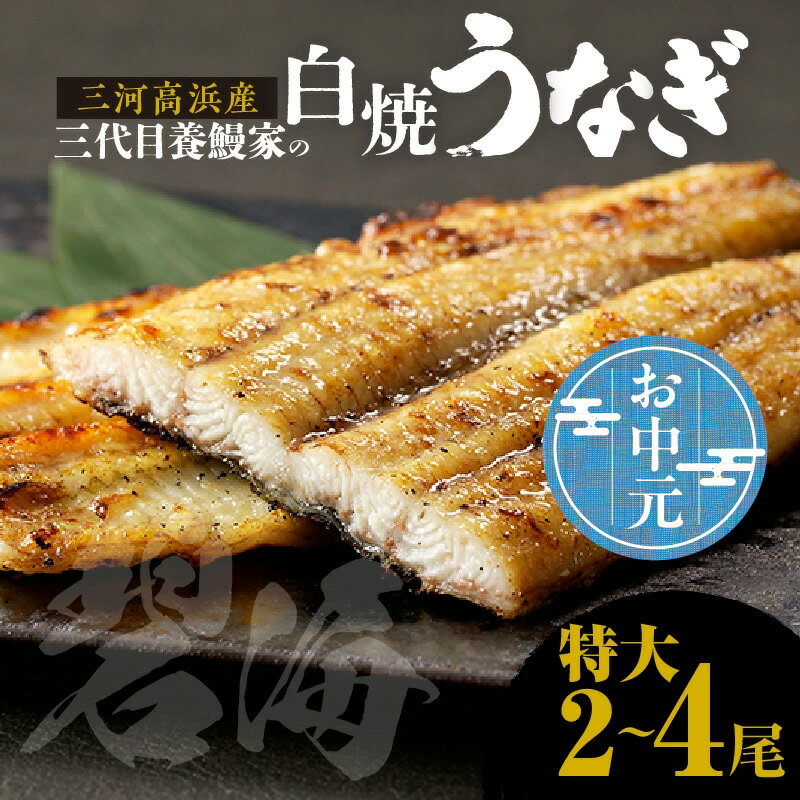 【ふるさと納税】＼☆ お中元対応 ☆／三河高浜産三代目 養鰻家 の白焼きうなぎ【 特大 】【選べる尾数】 タレ付 マツコの知らない世界 秋 旬 愛知県産 白焼き 特大うなぎ 国産 タレ うなぎ グルメ 養殖 肉厚 お祝い 丑の日 鰻 国産鰻 食べ物 高級 魚介類 送料無料