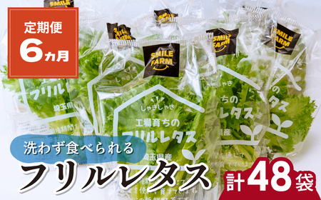 【定期便6ヶ月】フリルレタス 8袋(80～110g/袋)×6ヶ月 計48袋 | レタス レタス レタス レタス レタス