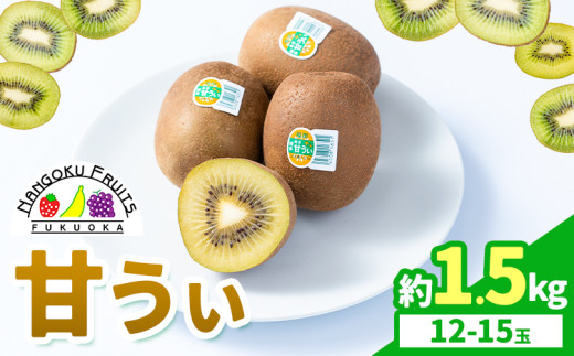 キウイ 甘うぃ 約1.5kg 南国フルーツ株式会社《10月中旬-11月末頃出荷》福岡県 鞍手町 福岡県産 キウイ フルーツ キウイフルーツ 果物
