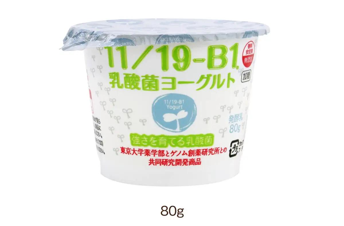 11／19-B1乳酸菌ヨーグルト2箱(1箱8個入り)　【07214-0023】