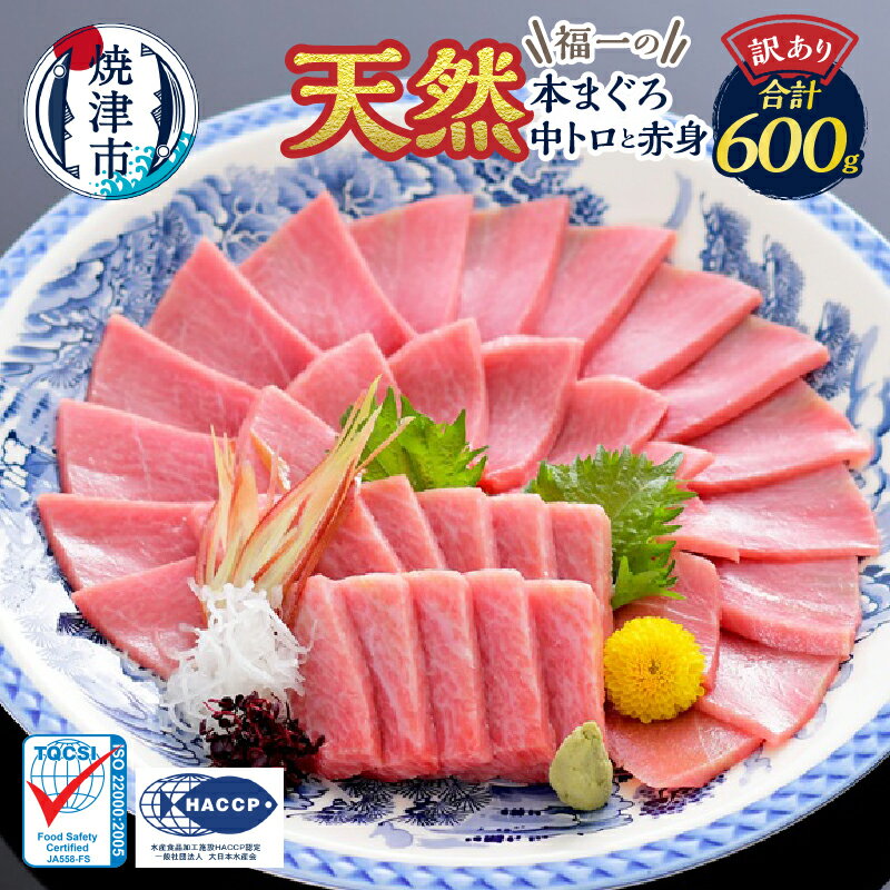 【ふるさと納税】 個数限定 訳あり 天然 まぐろ 本まぐろ 中トロ 赤身 セット 600g 魚 冷凍 焼津 a15-662