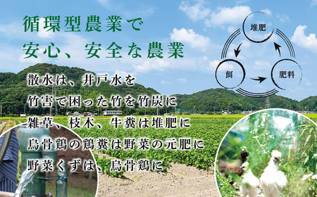 【早期予約/2026年10月発送】丹波篠山黒枝豆 800g(400gx2袋) 黒枝豆 小分け CD100