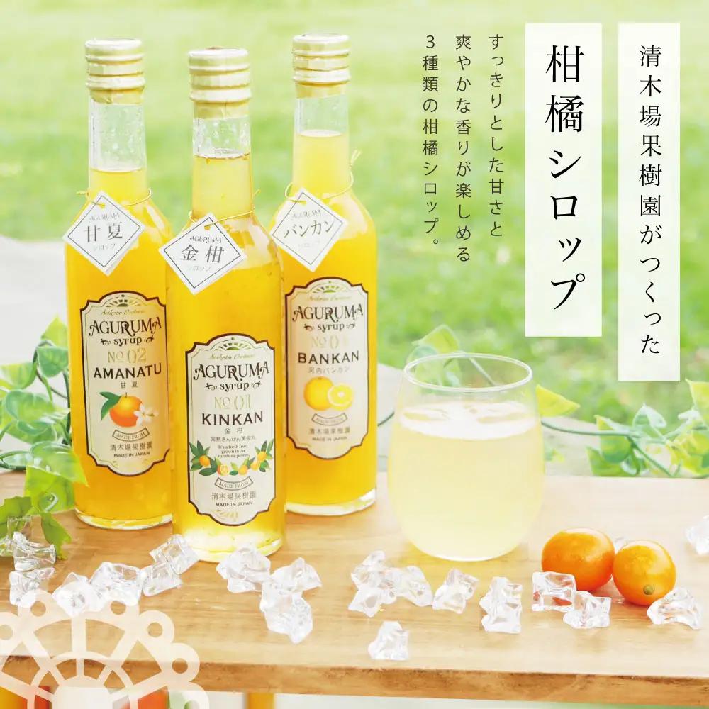 柑橘シロップ 3本セット＜金柑・甘夏・河内バンカン＞［3種類］きんかん キンカン 河内晩柑 ドリンク ジュース 炭酸割り ハイボール カクテル かき氷 ヨーグルト アイス パンケーキ ギフト 贈答 清