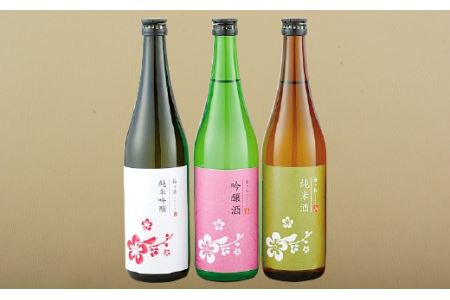 【創業230年 辛口&中口 720ml 3本】 純米吟醸 吟醸 純米酒 華やか&やや辛口 日本酒 3本 (各720ml) セット  酒袋を使って丁寧に作られた酒 女性にも人気【梅ヶ枝酒造】日本酒 日本