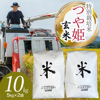 ふるさと納税 鶴岡市 【令和7年産】山形県庄内産 小池半左衛門のお米 特別栽培米 つや姫 玄米 5kg×2袋 計10kg